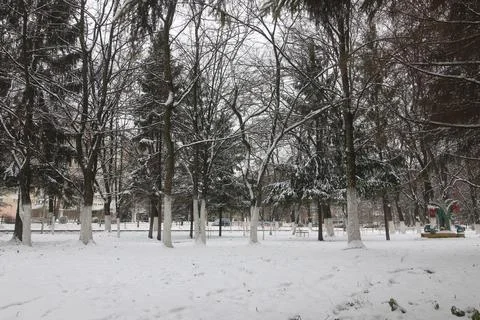 Park winter trees and path Stock Photos