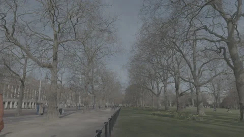 A park with wintery trees without leaves Stock Footage 219317328
