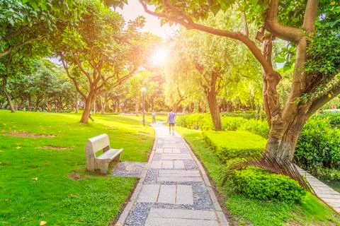 Park woods path Stock Photos