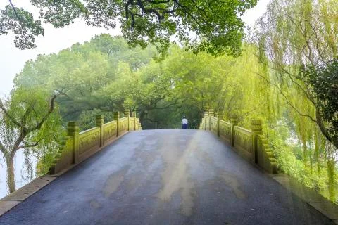 Park woods Stock Photos