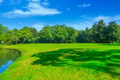 Park woods Stock Photos