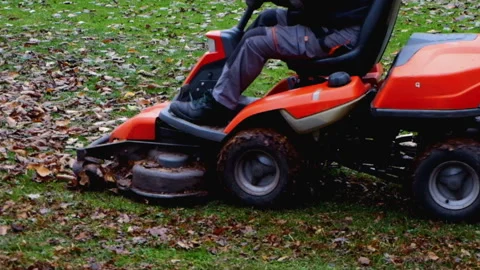 A park worker on a special machine crushes fallen leaves Stock Footage 101298719