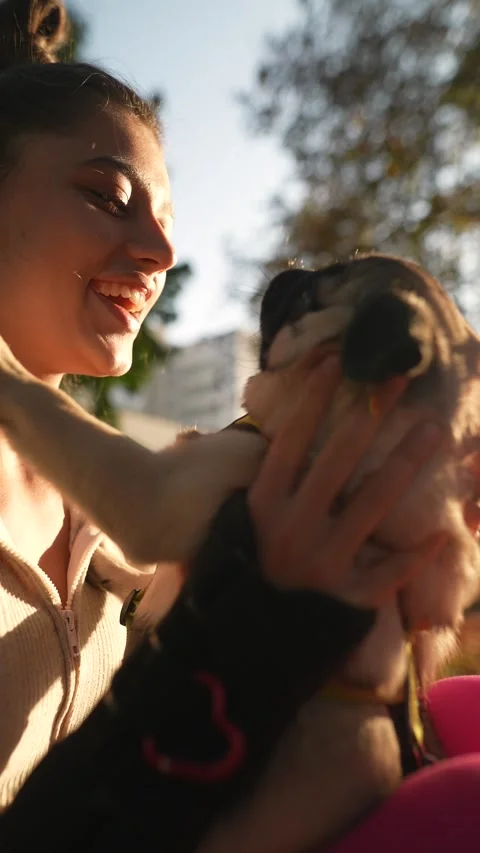 In the park, you can spot an active woman jogging with her pug dog. Stock Footage 254524301