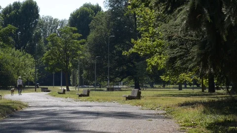 At the park with your dog Stock Footage 112777662
