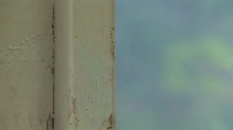 Park1 動画素材 7468246