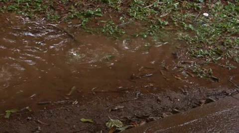 Park2 Stock Footage 7728651