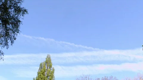 Park2 HD Stock Footage 521878