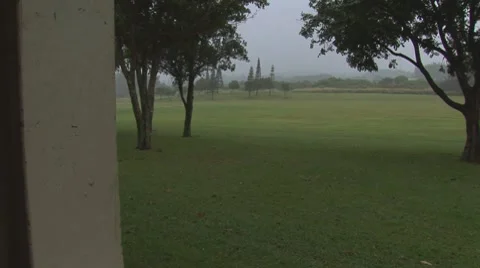 Park3 Stock Footage 7728693