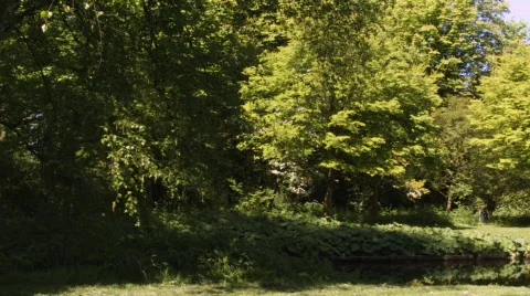 Park3 HD Stock Footage 521868