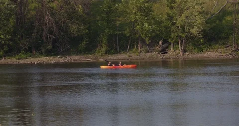 Park53 库存影片 115074513