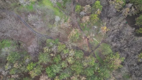 ParkAerialview Stock Footage 290799764