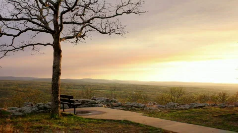 ParkBench Stock Footage 819391