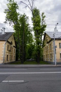 A parked car between tall trees and old houses Stock Photos