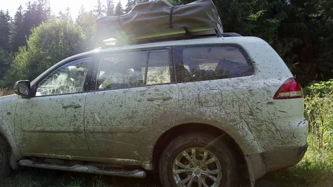 Parked car in the forest Stock Footage 73016669