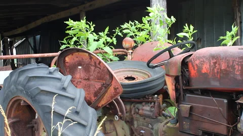 Parked Rusted Tractor Section In Tall Grass And Sunshine Stock Footage 310645683