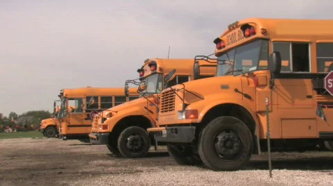 Parked School Buses Vidéo 280371