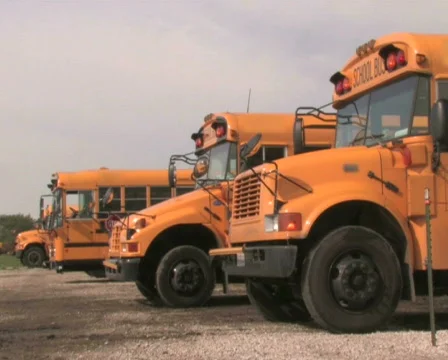 Parked School Buses Stock Footage 284711