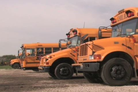 Parked School Buses Stock Footage 285082