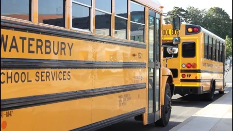 Parked school buses Stock Footage 304371460