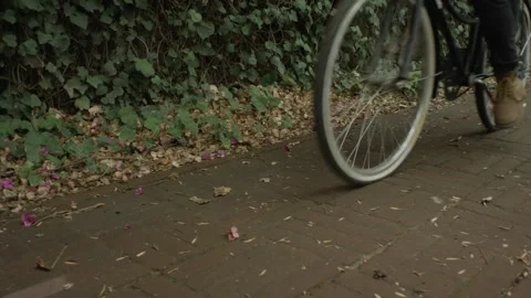Parking Bicycle Stock Footage 137550273