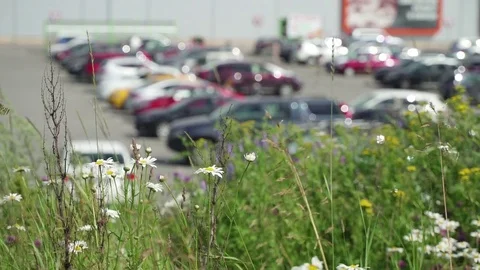 Parking concept and street signs. Blur parking next modern shopping mall at peak Stock Footage