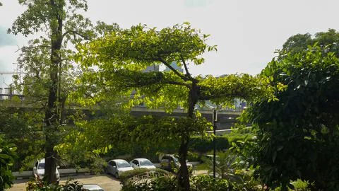 A parking full of plants around Stock Photos