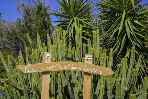 Parking sign and cacti at Casa Rural Santo Domingo La Palma Spain Europe Stock Photos