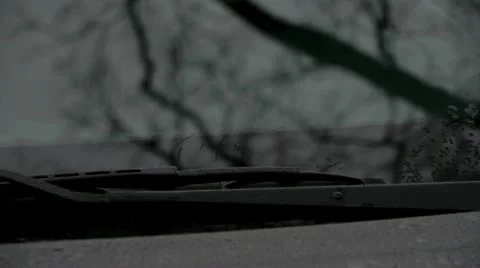 Parking Ticket Boston Stock-Footage 19592670