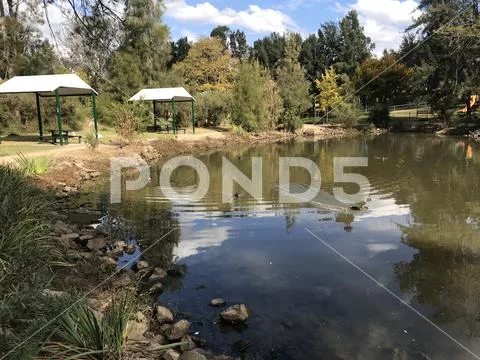 Parkland at Picton Stock Photos