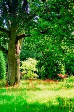 Parkland scene Stock Photos