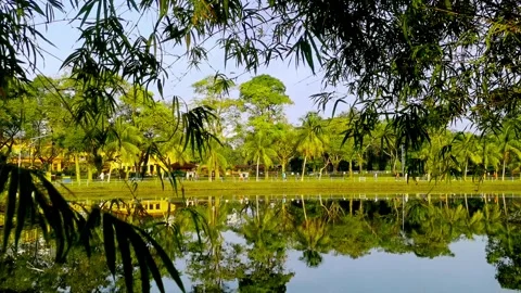 A Park's Reflection Stock Footage 316276476