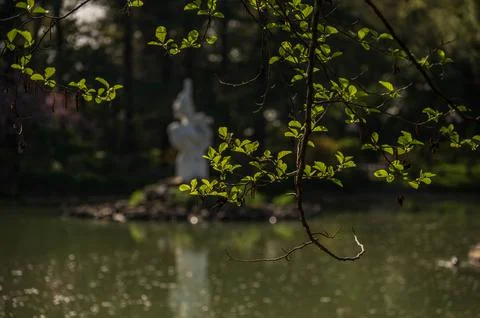 Parks in spring Stock Photos