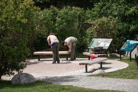 Parks workers installing a new bench at Capilano River Regional Park Stock Photos