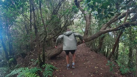 Parkur trick jump in the forest over tree Stock Footage 117137601