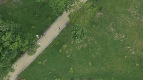 ParkVazrajdane Stock Footage 116595492