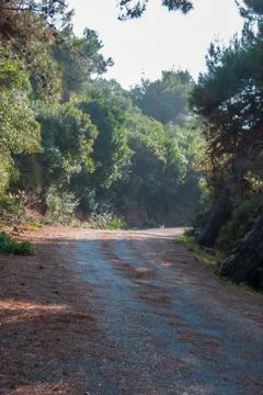 Parkway Stock Photos