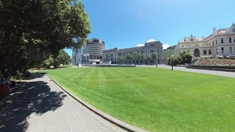 Parliament Stock-Footage 229674160