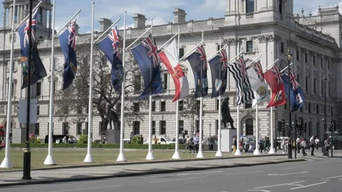 Parliament Square flags Stock Footage 196114056
