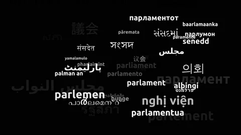 Parliament Translated in 45 Worldwide Languages Endless Looping 3d Zooming Wo Stockbeeldmateriaal 145194792