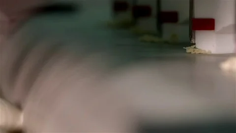 Parliment frame Stock Footage 81695358