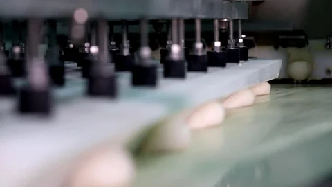 Parliment frame Stock Footage 81849411