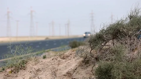 Parliment frame Stock Footage 108620860