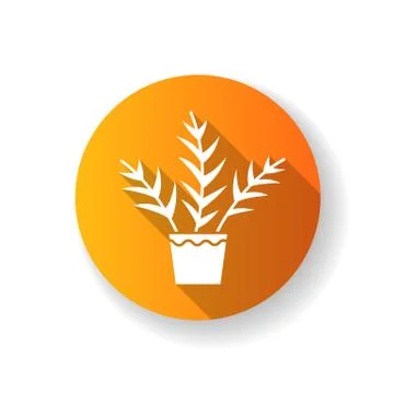 Parlor palm orange flat design long shadow glyph icon. Chamaedorea elegans. N Stock Illustration