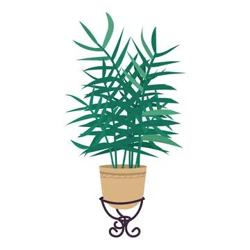 Parlor palm in pot semi flat color vector object Stock Illustration