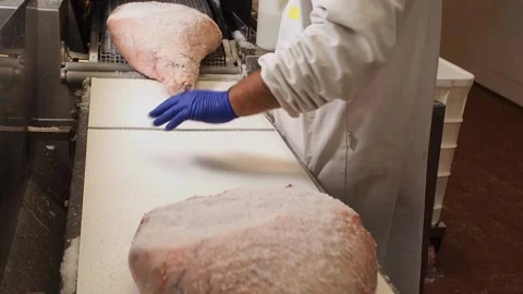 Parma ham salting procedure Stock Footage 159799583
