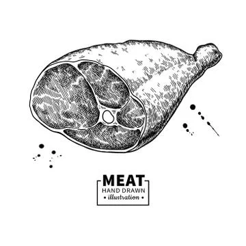 Parma ham vector drawing. Hand drawn hamon meat illustration. Italian prosciutto Stock Illustration