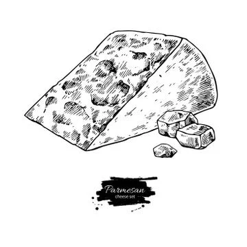 Parmesan cheese  drawing. Vector hand drawn food sketch. Engrave Stock Illustration