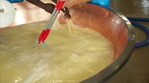 Parmesan cheese make of Stock Footage 159791369