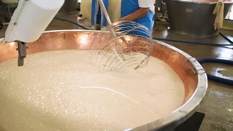 Parmesan cheese make of Stock Footage 159791530