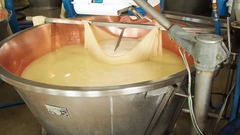 Parmesan cheese make of Stock Footage 159791533